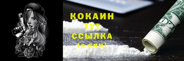 ешки Алексин