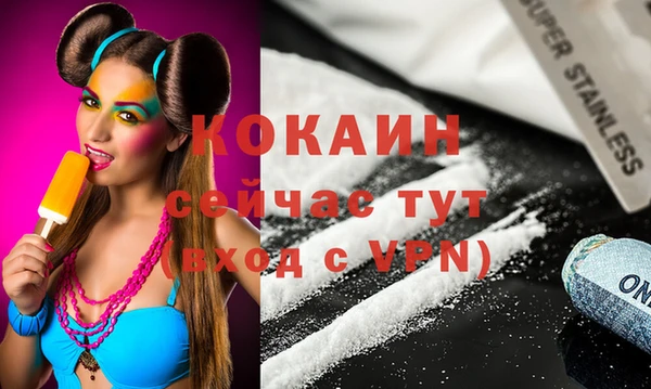 ешки Алексин