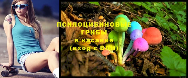 мяу мяу мука Алексеевка